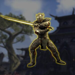 Fighters Guild Level Boost - ESO