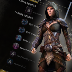 Armor Skill Boost