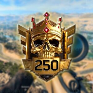 Warzone Ranked Boost