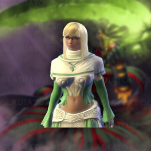 Guild Wars 2 Custom Order