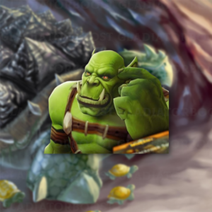 Turtle WoW - Custom Order