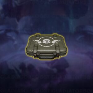 Buy Arena Breakout Infinite Cases