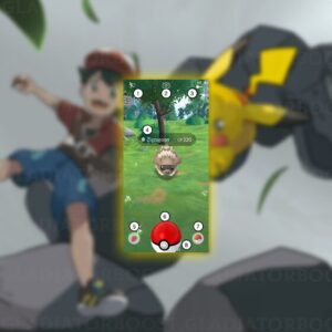 Pokemon Catches Bundle - Pokemon GO